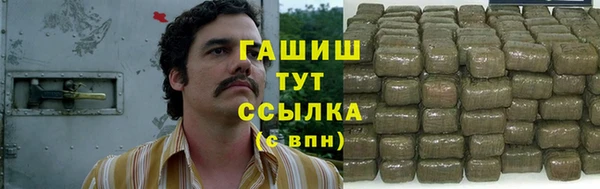стаф Вязьма