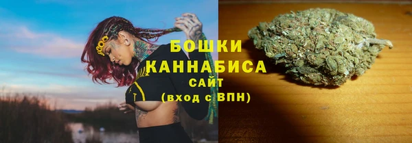 мдпв Волосово