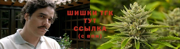 2c-b Горно-Алтайск