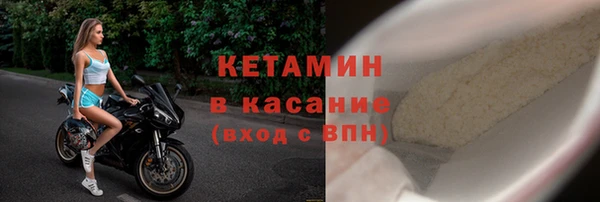 стаф Вязьма