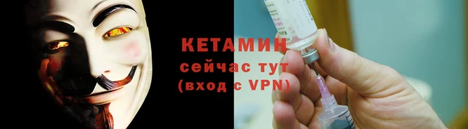 стаф Вязьма