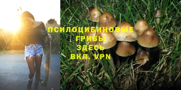 стаф Вязьма