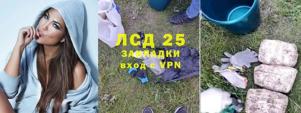 прущие крисы Горняк