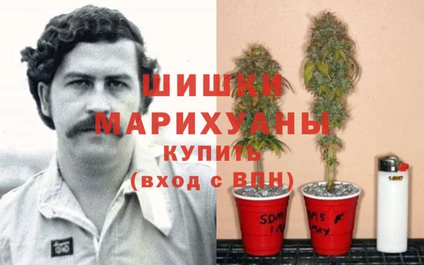 гидропоника Сосновка