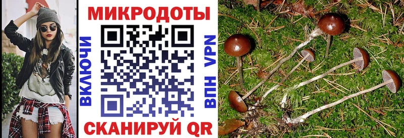 OMG зеркало  Дивногорск  Галлюциногенные грибы мухоморы 